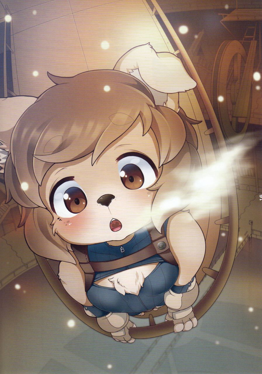 第17页