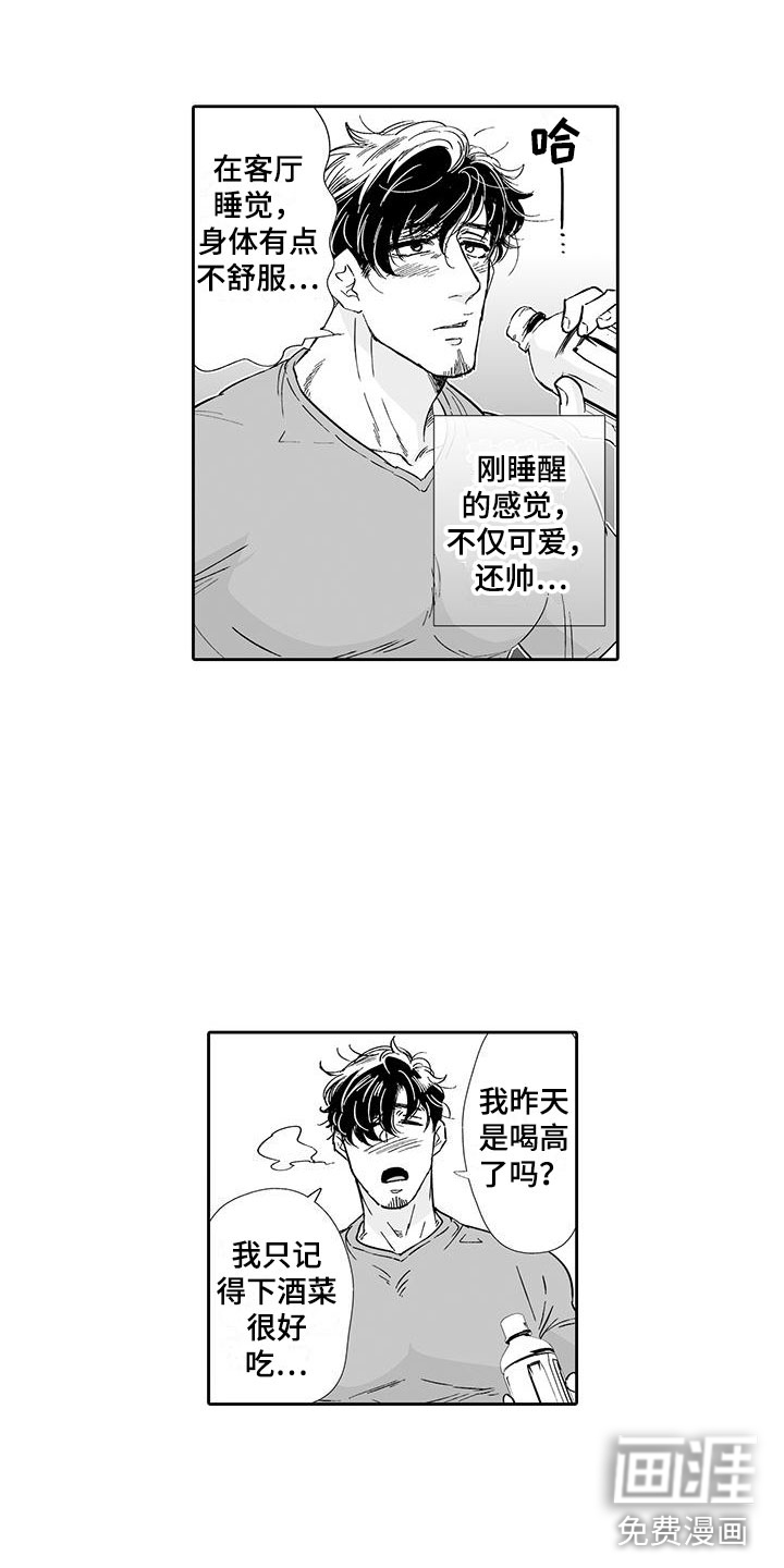 第3页