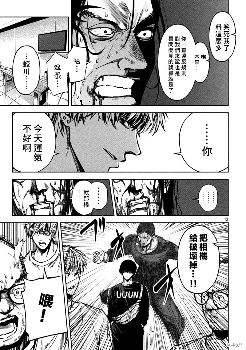 第13页