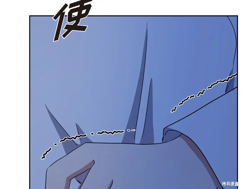 第207页