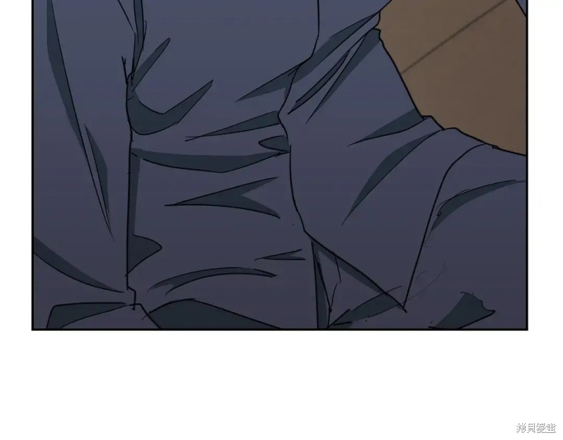 第207页