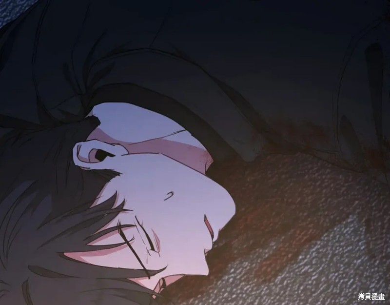 第213页